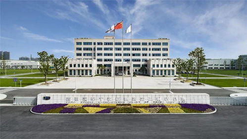 杨勇与安聪慧深度座谈 以技术交流为引擎，共筑开放协同的汽车产业新生态